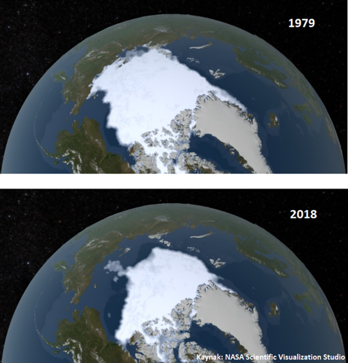 Çevrimiçi Seminerler