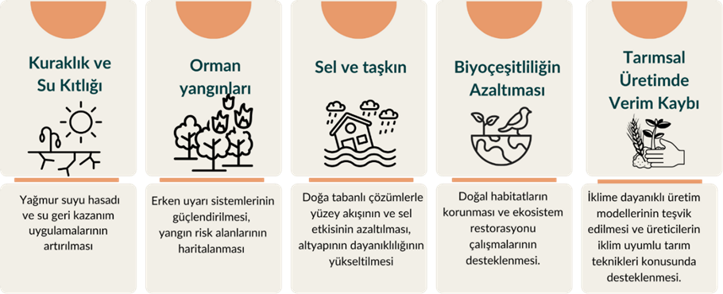 İlçe Bazlı Risk Haritası